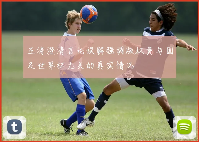 王涛澄清言论误解强调版权费与国足世界杯无关的真实情况