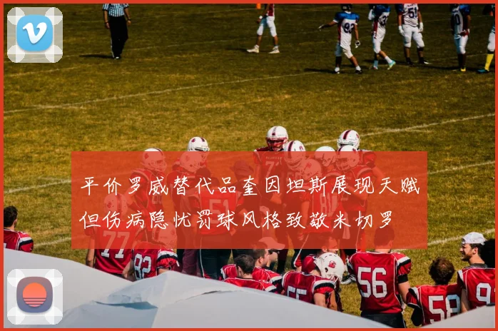 平价罗威替代品奎因坦斯展现天赋但伤病隐忧罚球风格致敬米切罗
