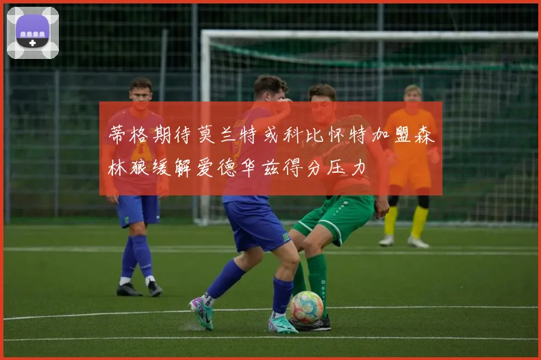 蒂格期待莫兰特或科比怀特加盟森林狼缓解爱德华兹得分压力